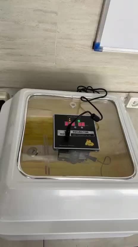 دستگاه جوجه کشی گلدن ۴۲عددی(شرکتی)|لوازم جانبی حیوانات|تهران, ایران|دیوار