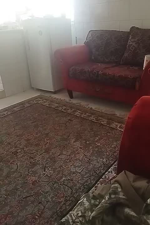 یک نفر برای تمیز کردن یک خونه مجردی برای یک روز|خدمات نظافت|شیراز, غدیر جنوبی|دیوار