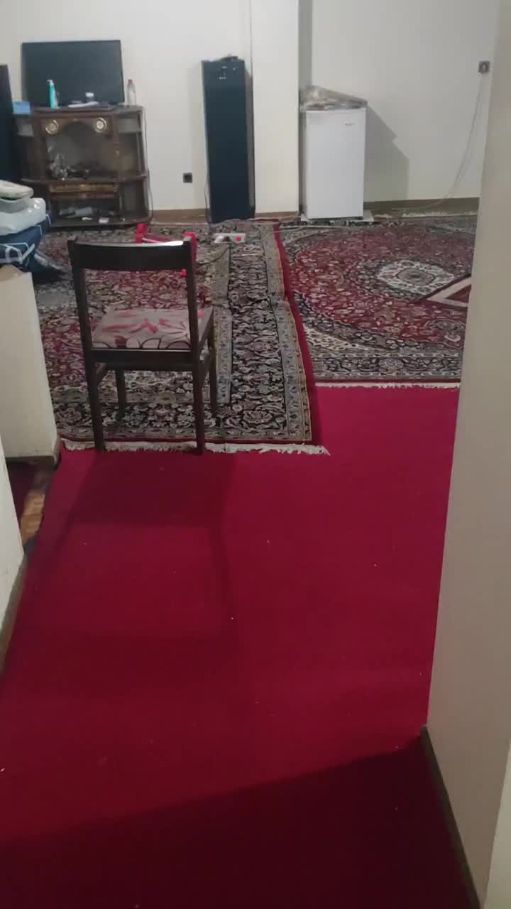 شرکت سمپاشی+موریانه زدایی+ساس سوسک موش مار+سم پاشی|خدمات نظافت|اهواز, کوی مهدیس|دیوار