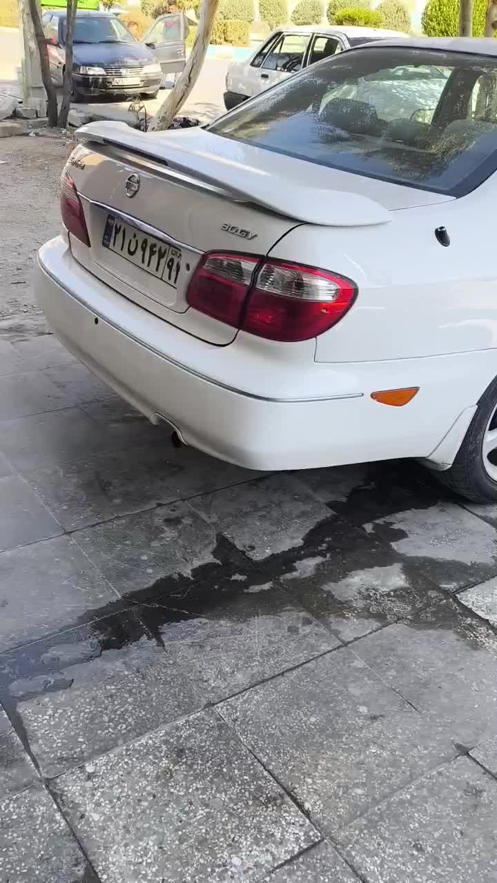 ماکسیما درحد قابل معاوضه باخودرو|خودرو سواری و وانت|شیراز, ارم|دیوار