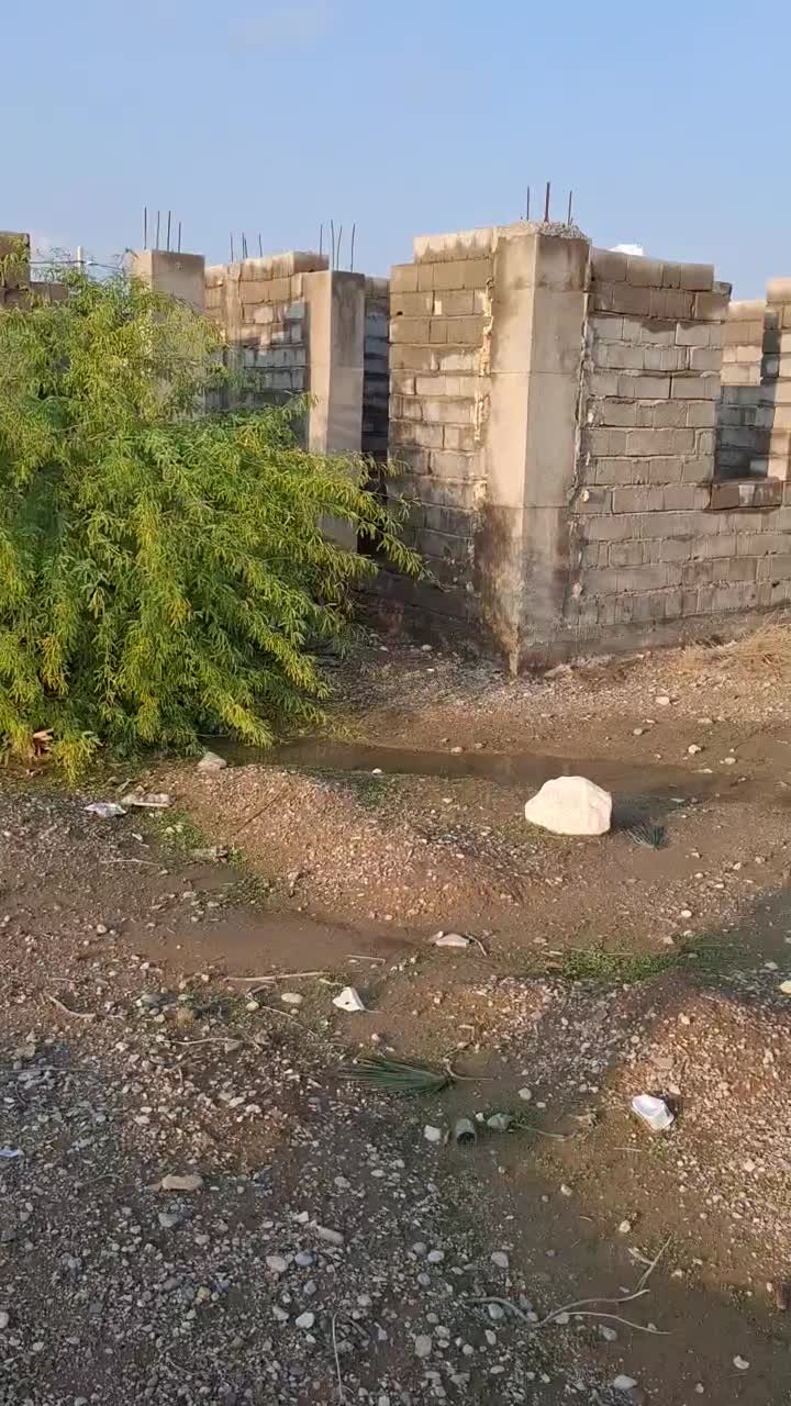 زمین|فروش زمین و ملک کلنگی|قلعه قاضی, |دیوار