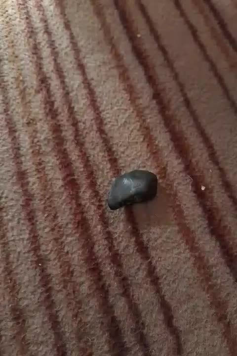 سنگ قیمتی|جواهرات|دامغان, |دیوار