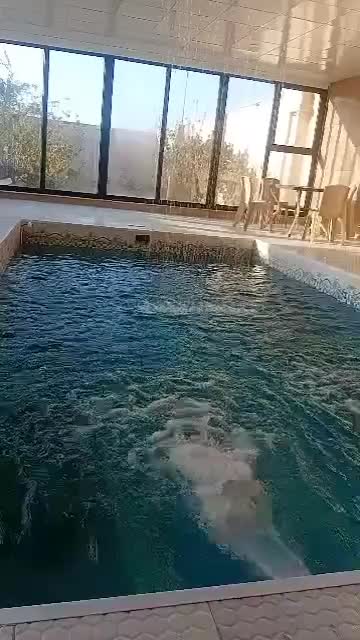 اجاره کوتاه مدت بلند مدت باغ ویلا|اجارهٔ کوتاهمدت ویلا و باغ|صفادشت, |دیوار