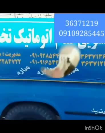 قالیشویی تمام اتوماتیک امیرکبیر والفجر طلاییه|خدمات نظافت|شیراز, شهرک امیر کبیر|دیوار