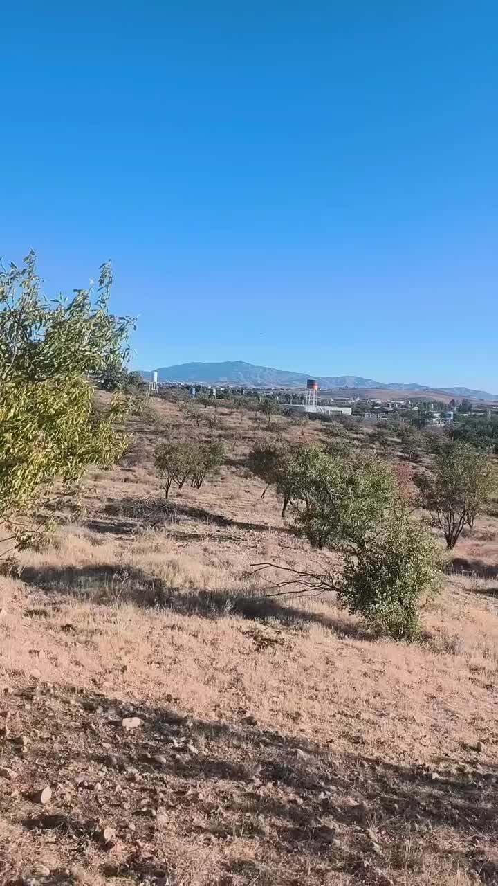 نقد و اقساط باغ شهری|فروش دفتر صنعتی، کشاورزی، تجاری|شیراز, کودیان|دیوار