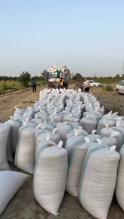 انواع برنج ایرانی عمده|خوردنی و آشامیدنی|گرگان, |دیوار