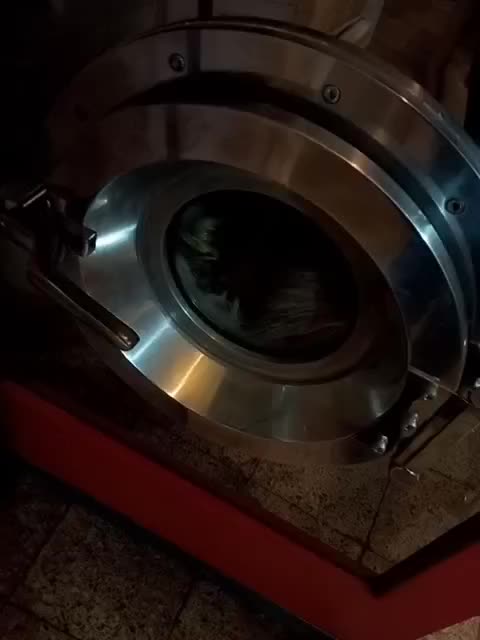 خشک شویی صدف|خدمات نظافت|بروجن, |دیوار