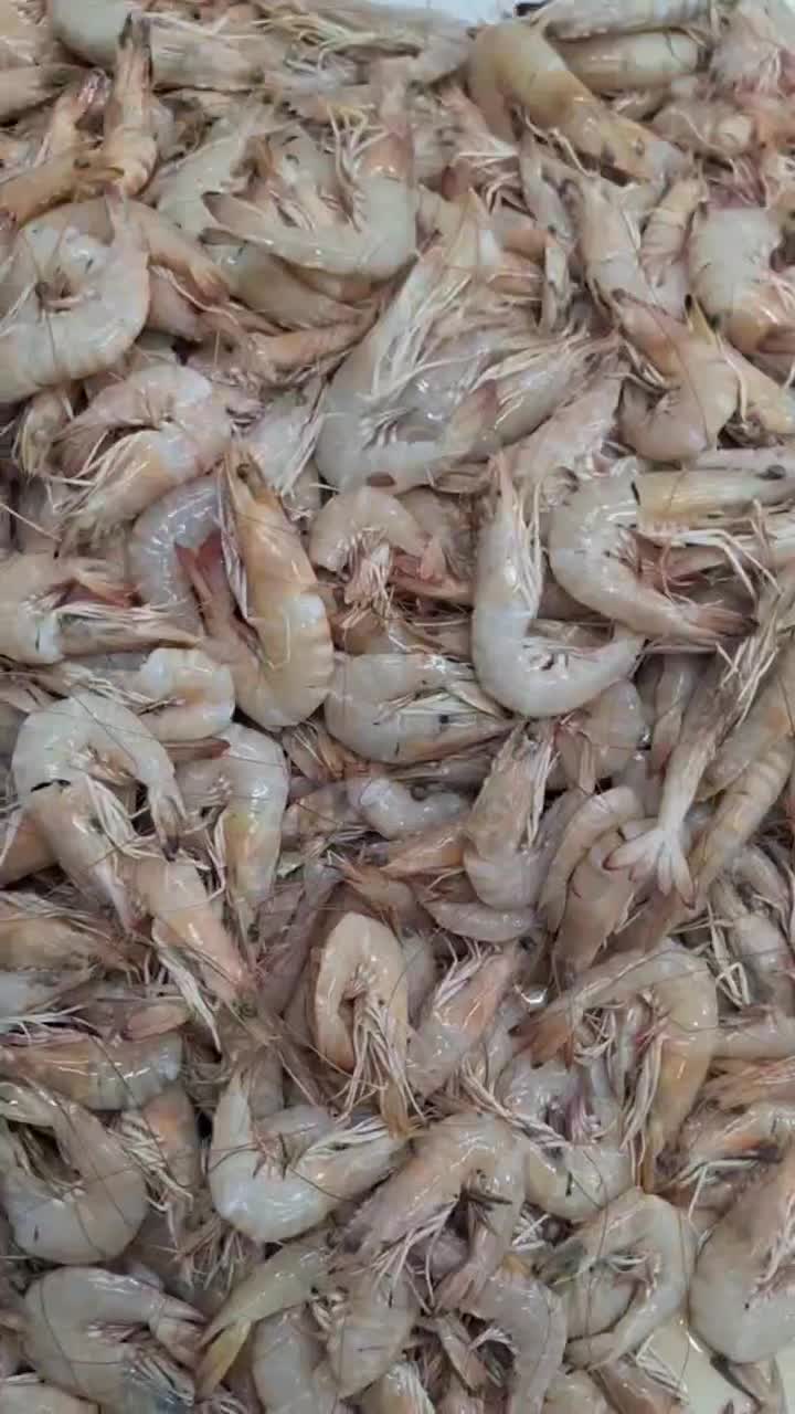 میگو|خوردنی و آشامیدنی|بوشهر, |دیوار