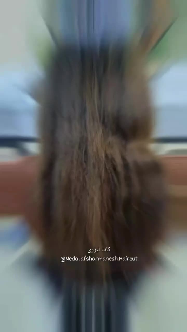 کوتاهی مو ژورنالی مدرن با تخفیف یلدایی|خدمات آرایشگری و زیبایی|مشهد, یوسفیه (شهرک غرب)|دیوار