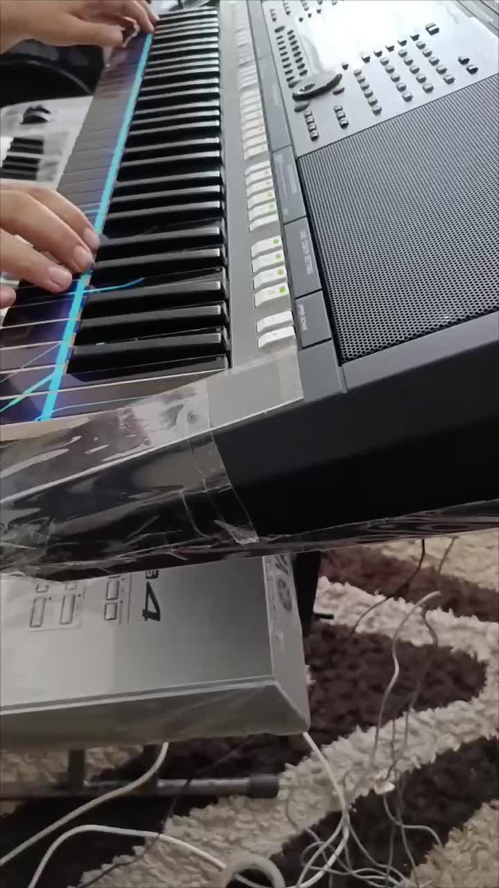 ارگ a 3000درحدصفر|پیانو، کیبورد، آکاردئون|اردبیل, |دیوار