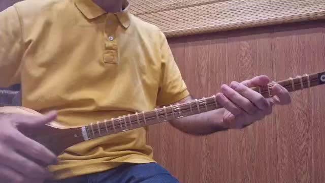 سه تار محمدی الگوی کمالیان|سازهای سنتی|شیراز, شهرک سراج|دیوار