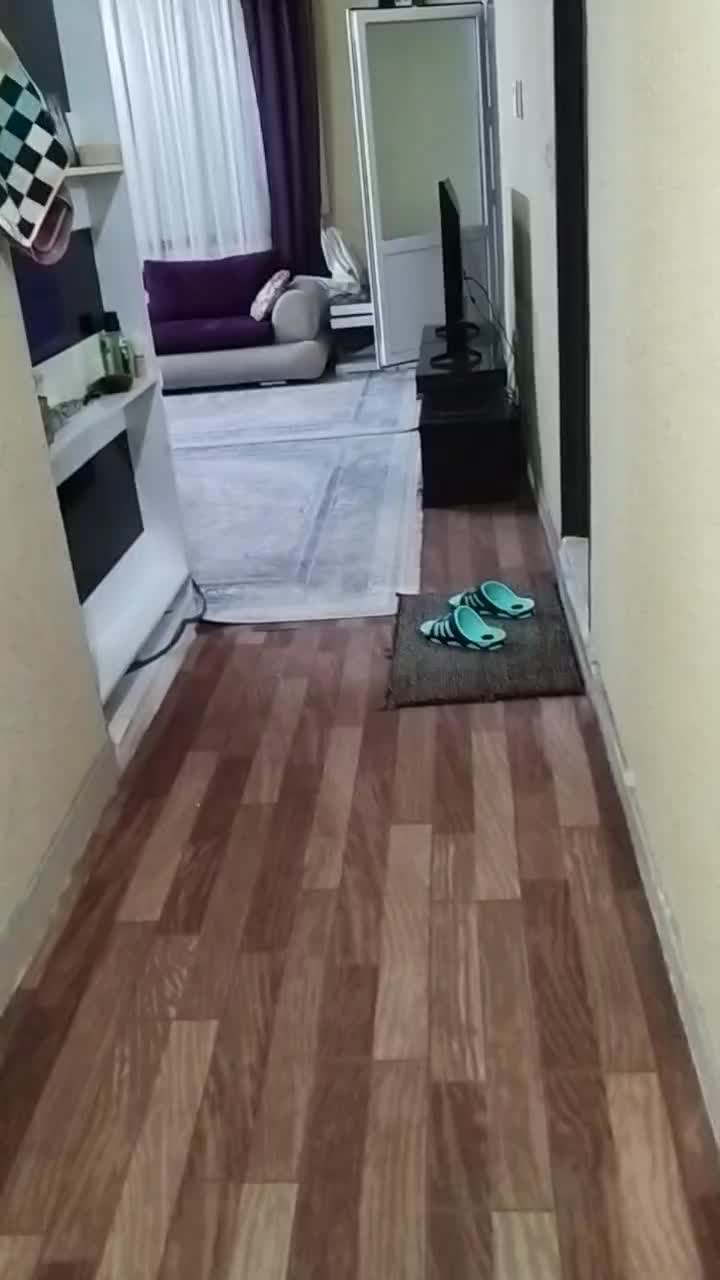 ( فروش فوری ) مسکن مهرگان نرگس ۱ جنوبی ۹۰ متری|فروش آپارتمان|مرودشت, مسکن مهرگان|دیوار