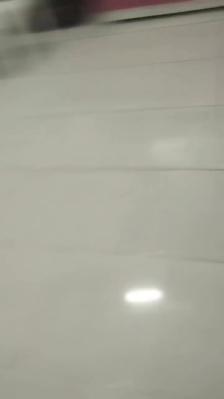 پرستویی زرد|پرنده|یزد, |دیوار