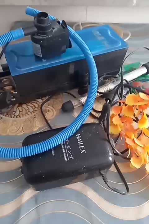 وسایل آکواریم|ماهی|دورود, |دیوار