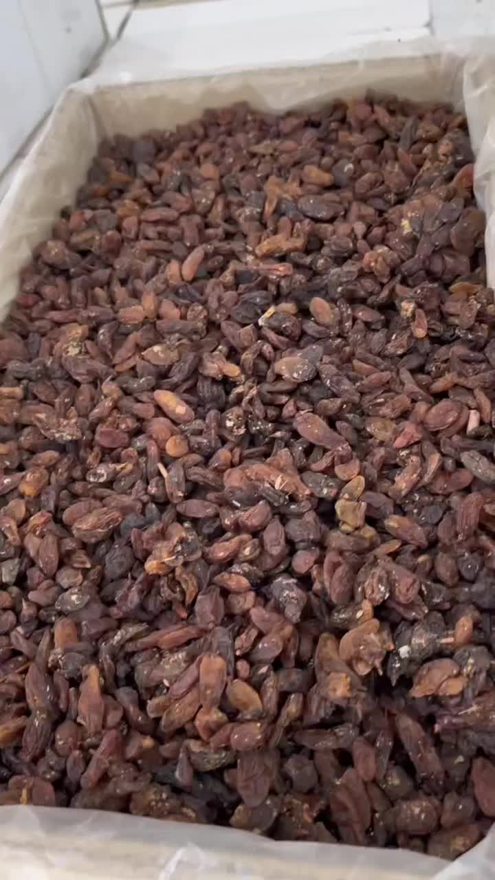 کشمش آفتابی آبگیری(ارسال از کاشمر)|خوردنی و آشامیدنی|کرج, ۳۵۰ متری|دیوار