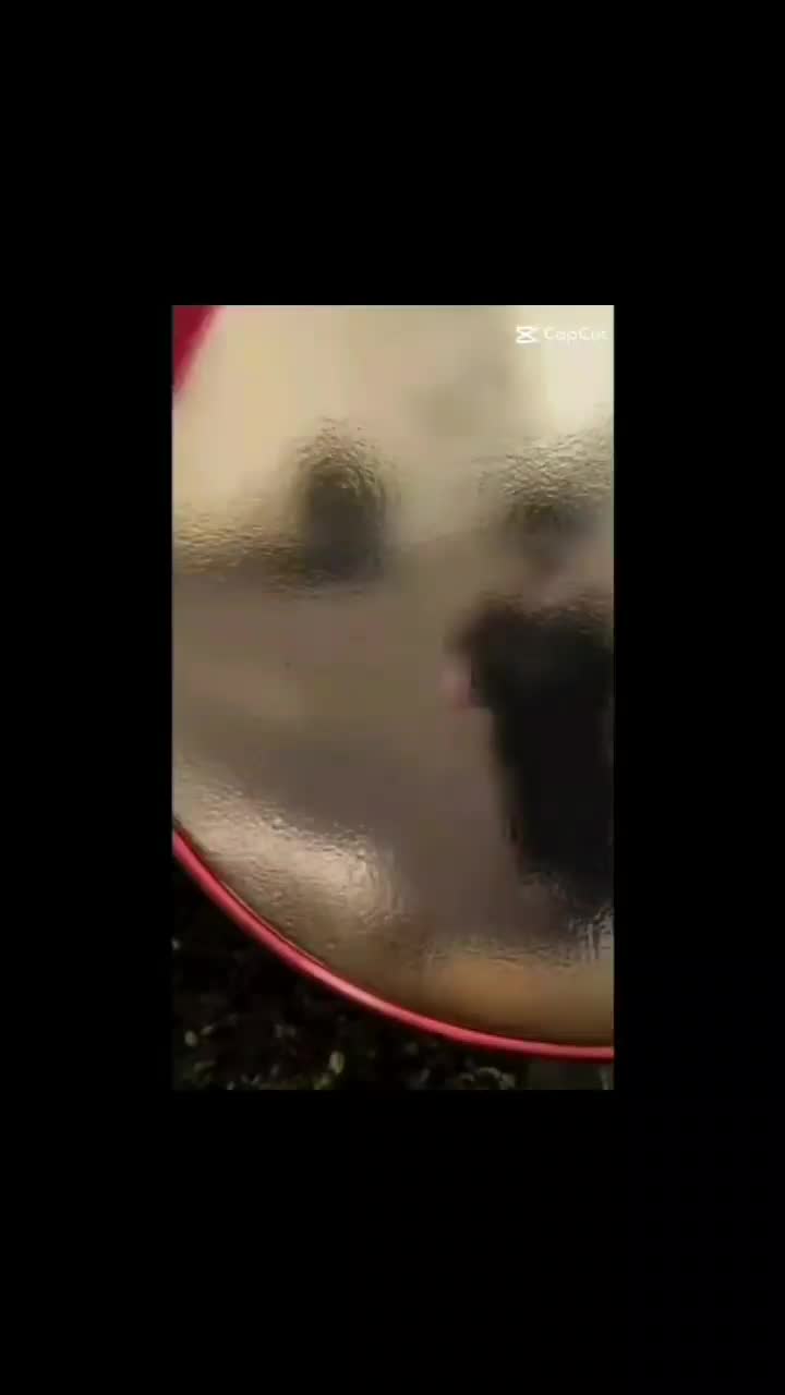 فروش قسطی مبل زوفا هشت نفره|مبلمان خانگی و میز عسلی|رشت, فلسطین|دیوار