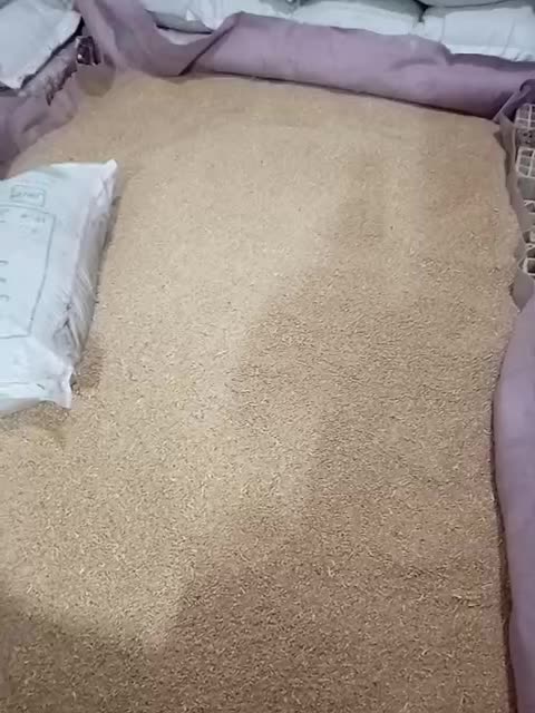 گندم|لوازم جانبی حیوانات|مشهد, انصار|دیوار