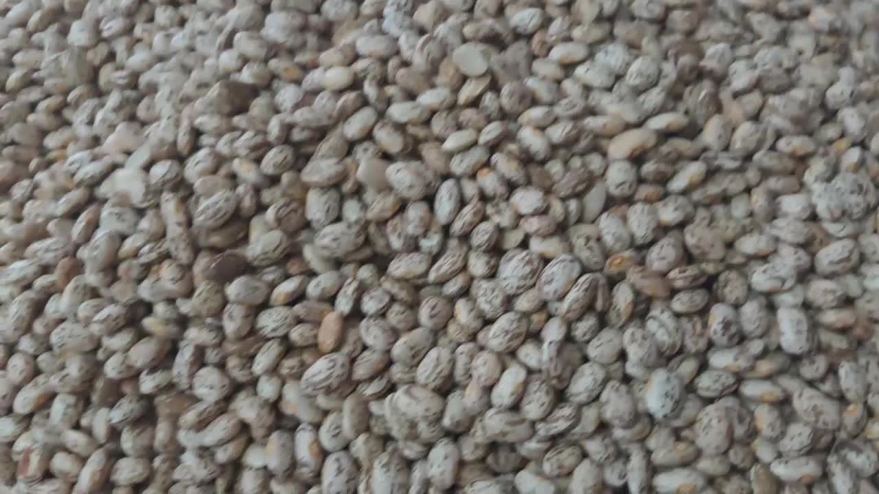 محصولات محلی|خوردنی و آشامیدنی|اهواز, شهدای انتظامی|دیوار