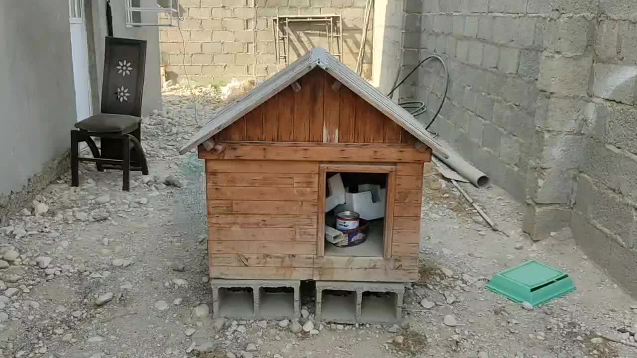 خونه سگ|لوازم جانبی حیوانات|گله دار, |دیوار