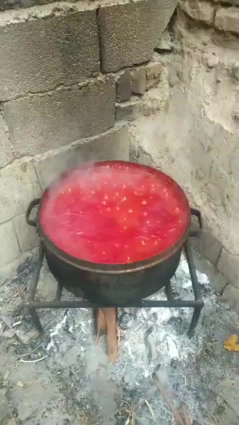 رب گوجه ارگانیک|خوردنی و آشامیدنی|مهریز, |دیوار