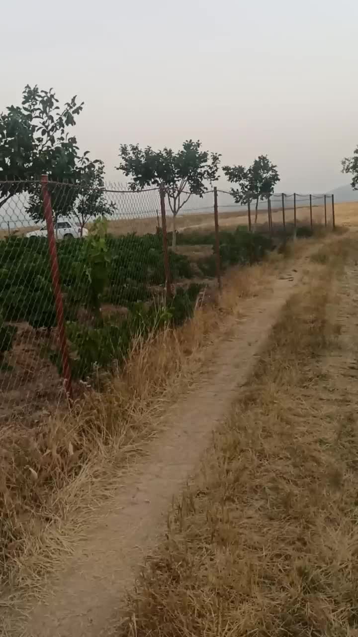 فروش یا معاوضه با زمین یا واحد در همدان|فروش زمین و ملک کلنگی|صالح آباد, |دیوار