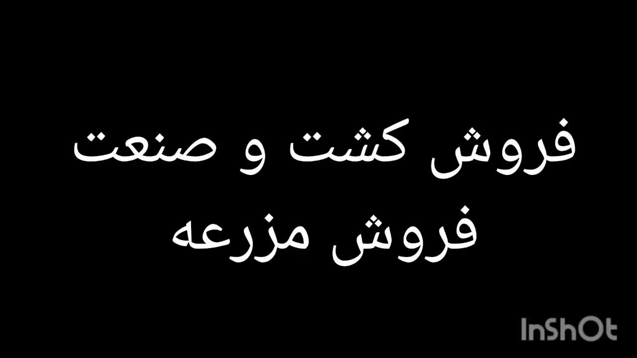 گوسفند فروشی|حیوانات مزرعه|تهران, شهرک غرب|دیوار