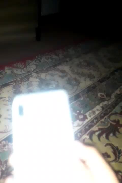 سامسونگ Galaxy A02 با حافظهٔ ۶۴ گیگابایت|موبایل|اصفهان, خانه اصفهان|دیوار