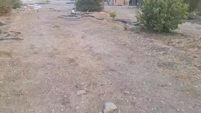 3Dپنل|خدمات پیشه و مهارت|بهبهان, |دیوار