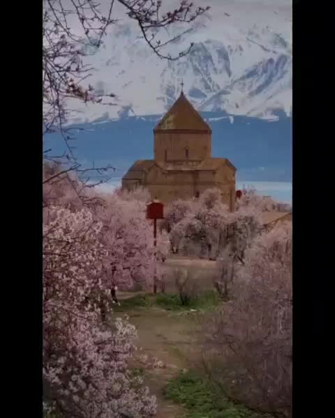 تور گروهی لحظه آخری وان ترکیه مخصوص بانوان|تور و چارتر|تهران, صادقیه|دیوار