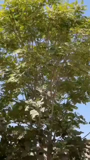 ویلایی ۲۲۵ متری/سه نبش با۳ گذر/قابل سکونت|فروش خانه و ویلا|اصفهان, سرچشمه|دیوار
