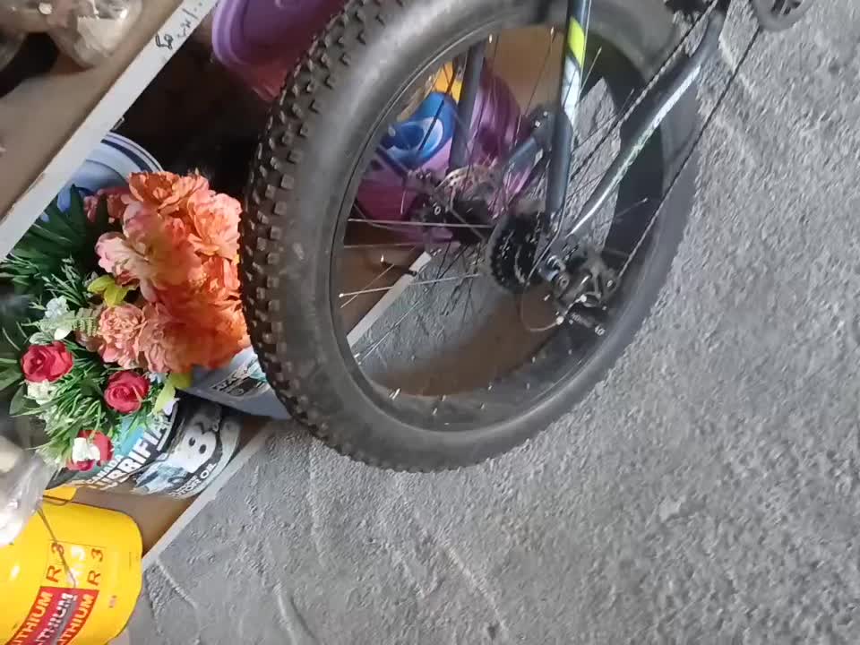 دوچرخ درحد نوع|دوچرخه، اسکیت، اسکوتر|قشلاق دشت, |دیوار