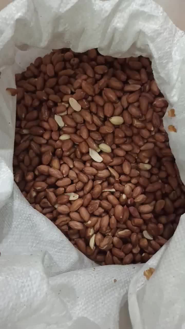 بادام زمینی تناژ تمیز مناسب صادرات کره گیری و فروش|خوردنی و آشامیدنی|تهران, آبشار|دیوار