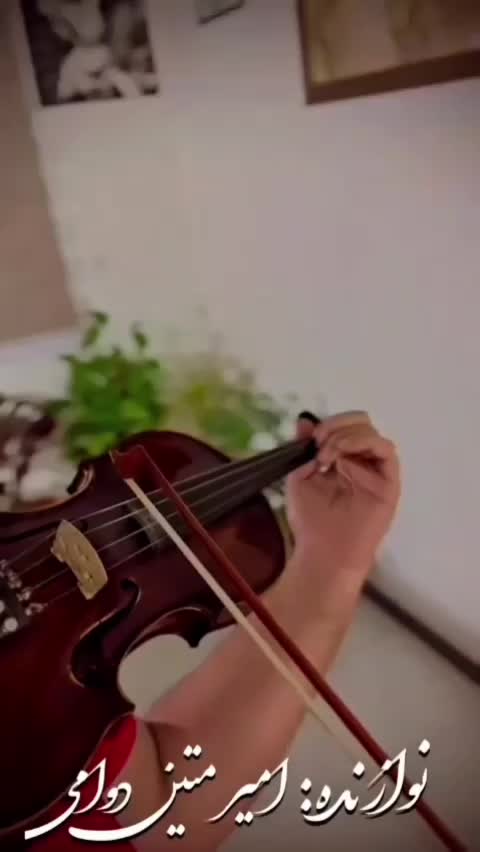 فروش  انواع ویولن|ویولن|اصفهان, آبشار|دیوار