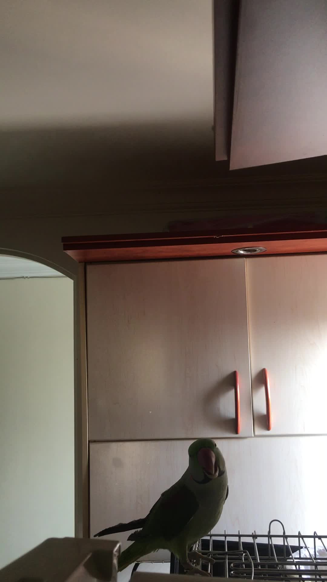 0990.33.444.34|سیم‌کارت|تهران, امانیه|دیوار