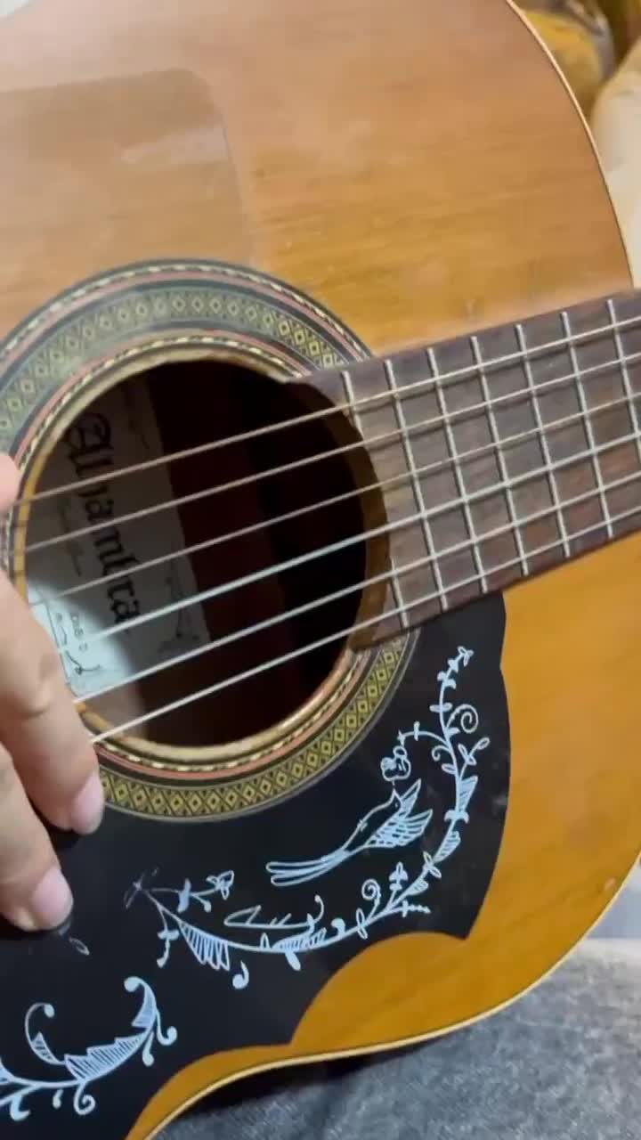 فروش گیتار الحمبرا|گیتار، بیس، امپلیفایر|ساری, |دیوار