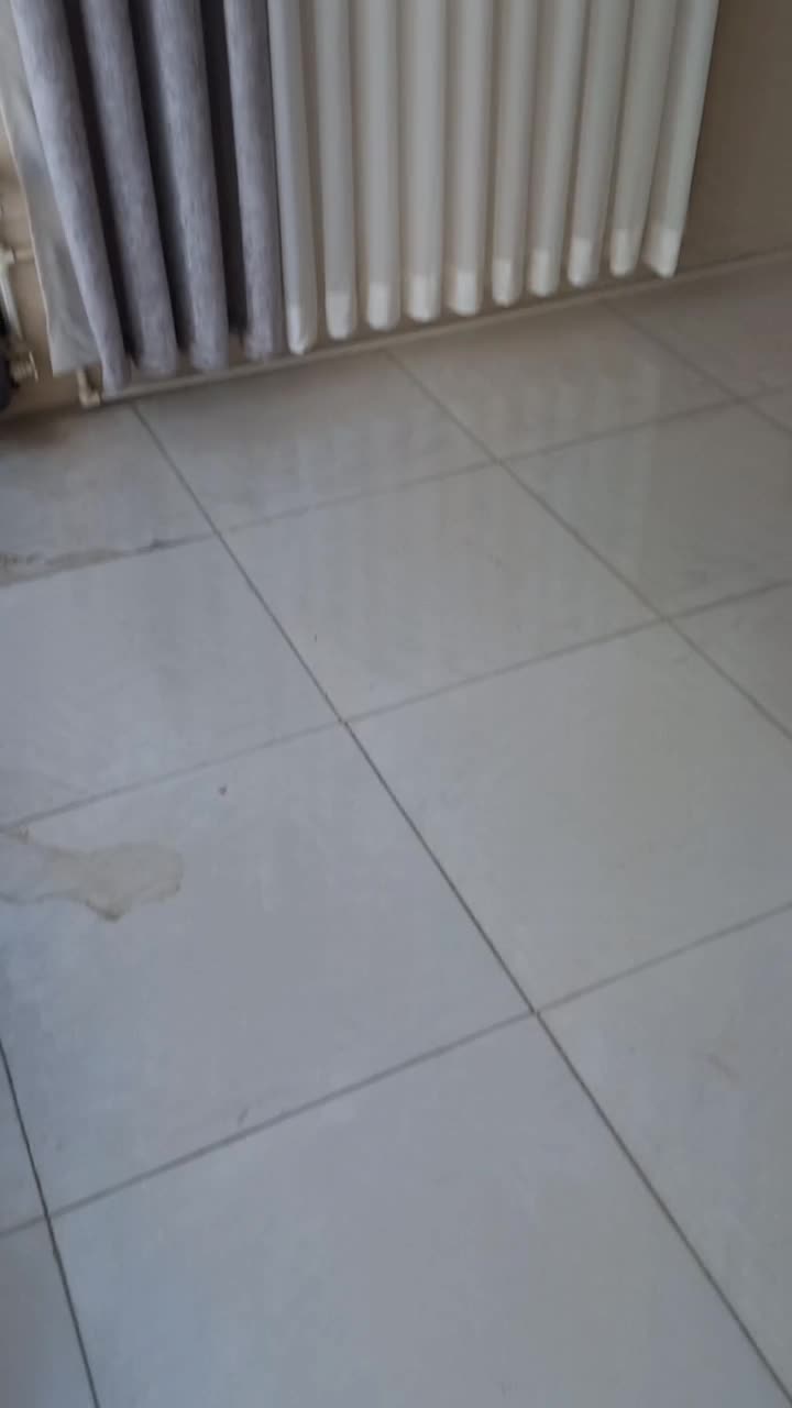 فروشگاه قصرپرده احمد‌‌‌‌(قول میدم دست خالی نمیرید)|پرده، رانر، رومیزی|گنبد کاووس, |دیوار