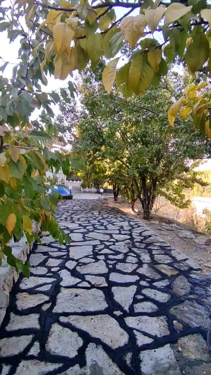 بنا ، بنایی ، سنگ فرش ، دیوارچینی|خدمات پیشه و مهارت|سنندج, |دیوار