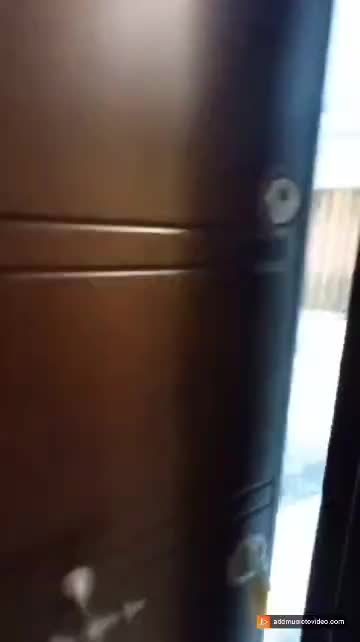 اجاره شبانه سویت، آپارتمان و ویلایی|اجارهٔ کوتاهمدت آپارتمان و سوئیت|قشم, |دیوار