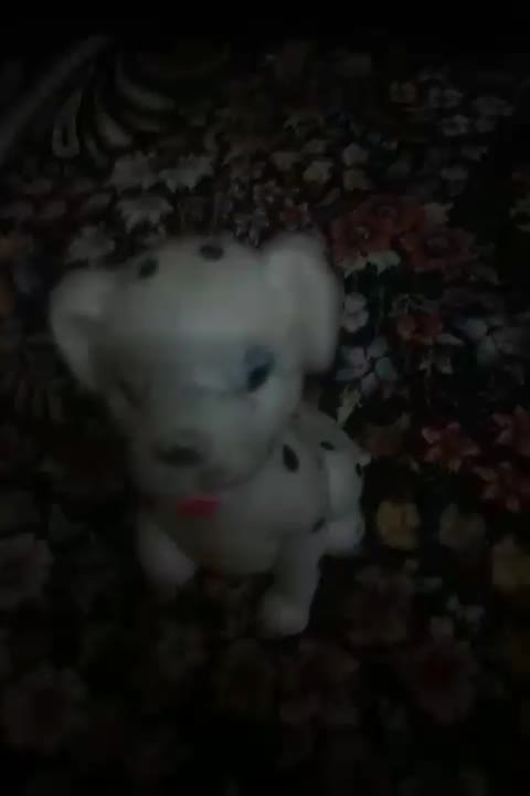 اساب   بازی   سگ|اسباب‌‌بازی|اراک, |دیوار