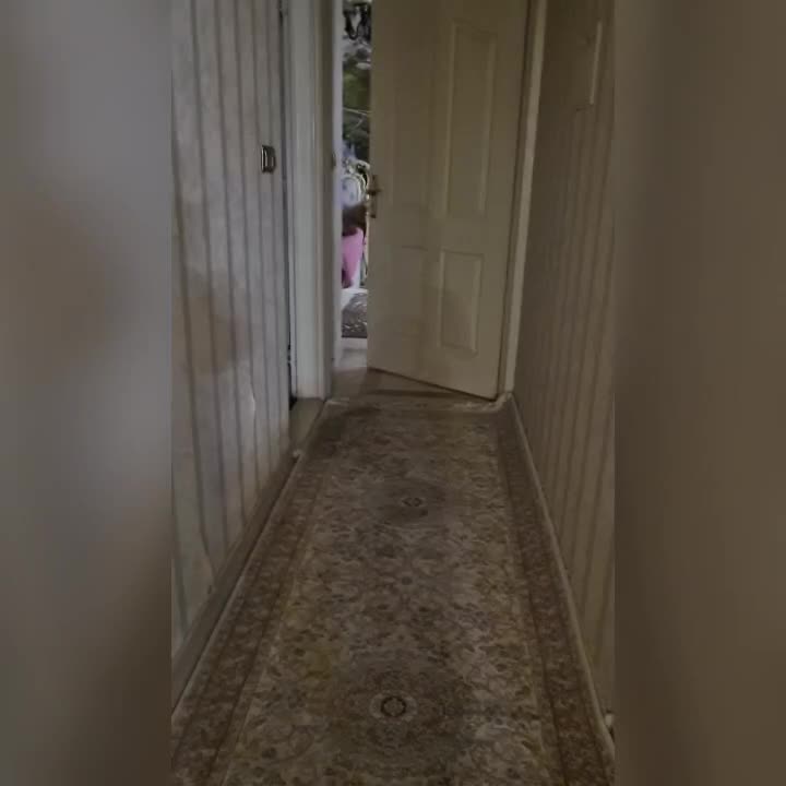 چراغ قوه|کوهنوردی و کمپینگ|تهران, تهرانپارس جنوبی|دیوار