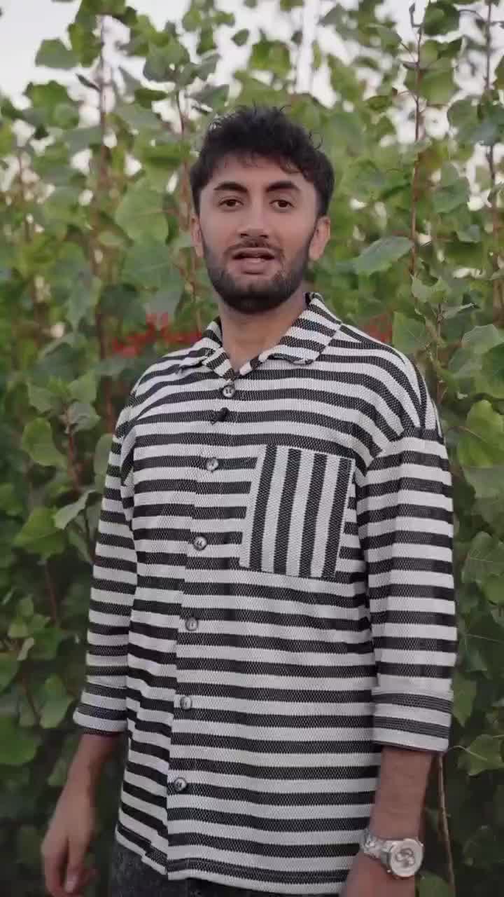 نهال سنوبر ۳ متری|خدمات باغبانی و درختکاری|نظرآباد, رسالت|دیوار