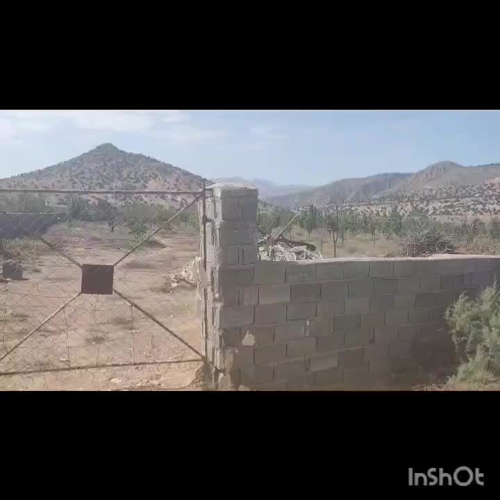 باغ کشاورزی 1.2 هکتار. با درختان به ثمر رسیده|فروش دفتر صنعتی، کشاورزی، تجاری|کیاسر, |دیوار