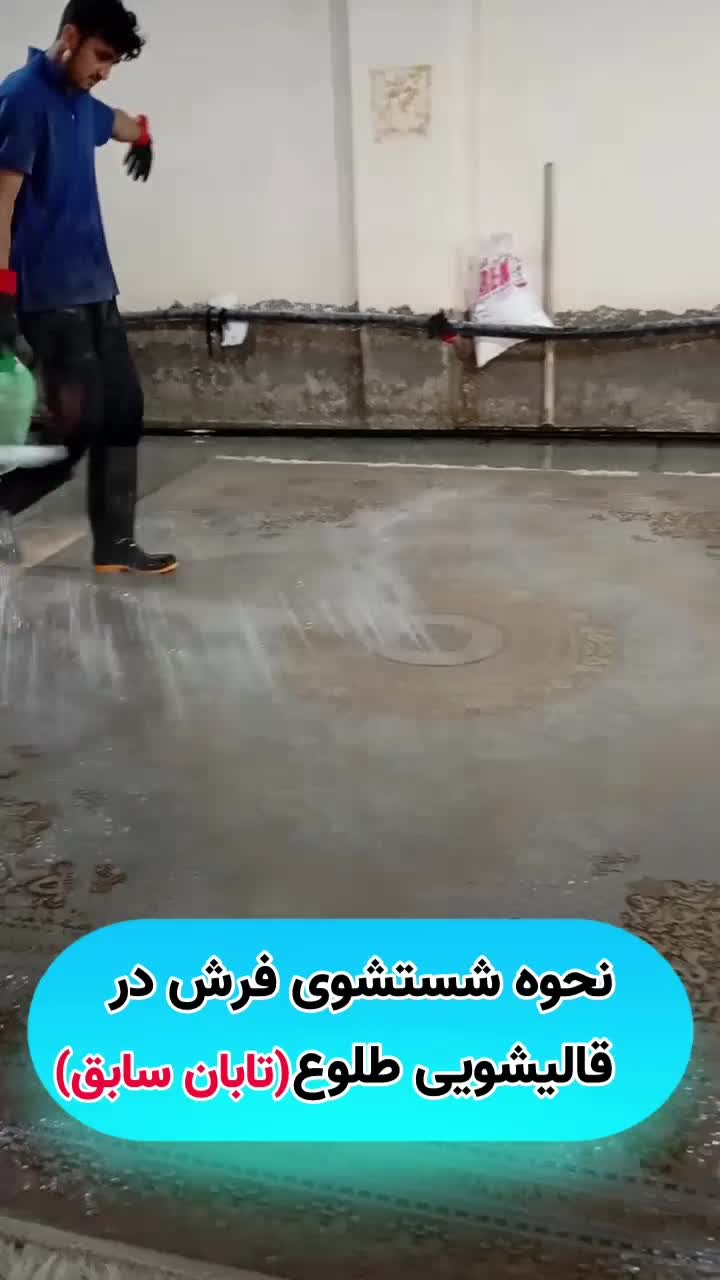 قالیشویی طلوع تابان سابق(پاکدشت. قیامدشت. خاورشهر)|خدمات نظافت|پاکدشت, پاکدشت (مامازند)|دیوار