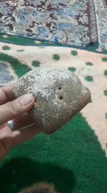 فسیل وسنگ|کلکسیون اشیاء عتیقه|گرگان, |دیوار