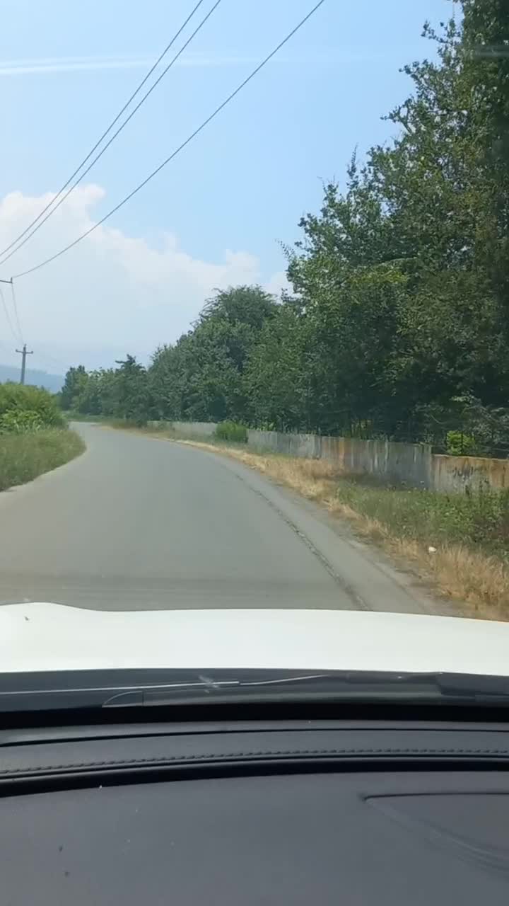 زمین تک برگ همصفا|فروش زمین و ملک کلنگی|امامزاده عبدالله, |دیوار