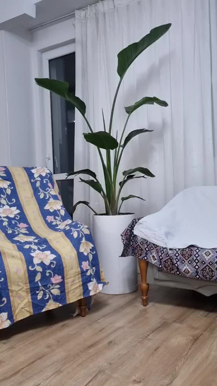 آپارتمانی لوکس بزرگ و کوچیک ۳۰٪تخفیف|گل و گیاه طبیعی|تهران, زیبادشت|دیوار