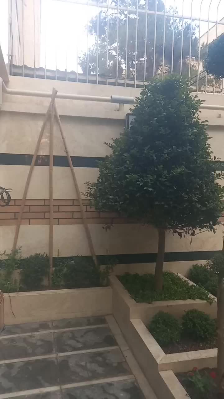 طراحی.اجرا.نگهداری گل و گیاه و درخت|خدمات باغبانی و درختکاری|تهران, درکه|دیوار