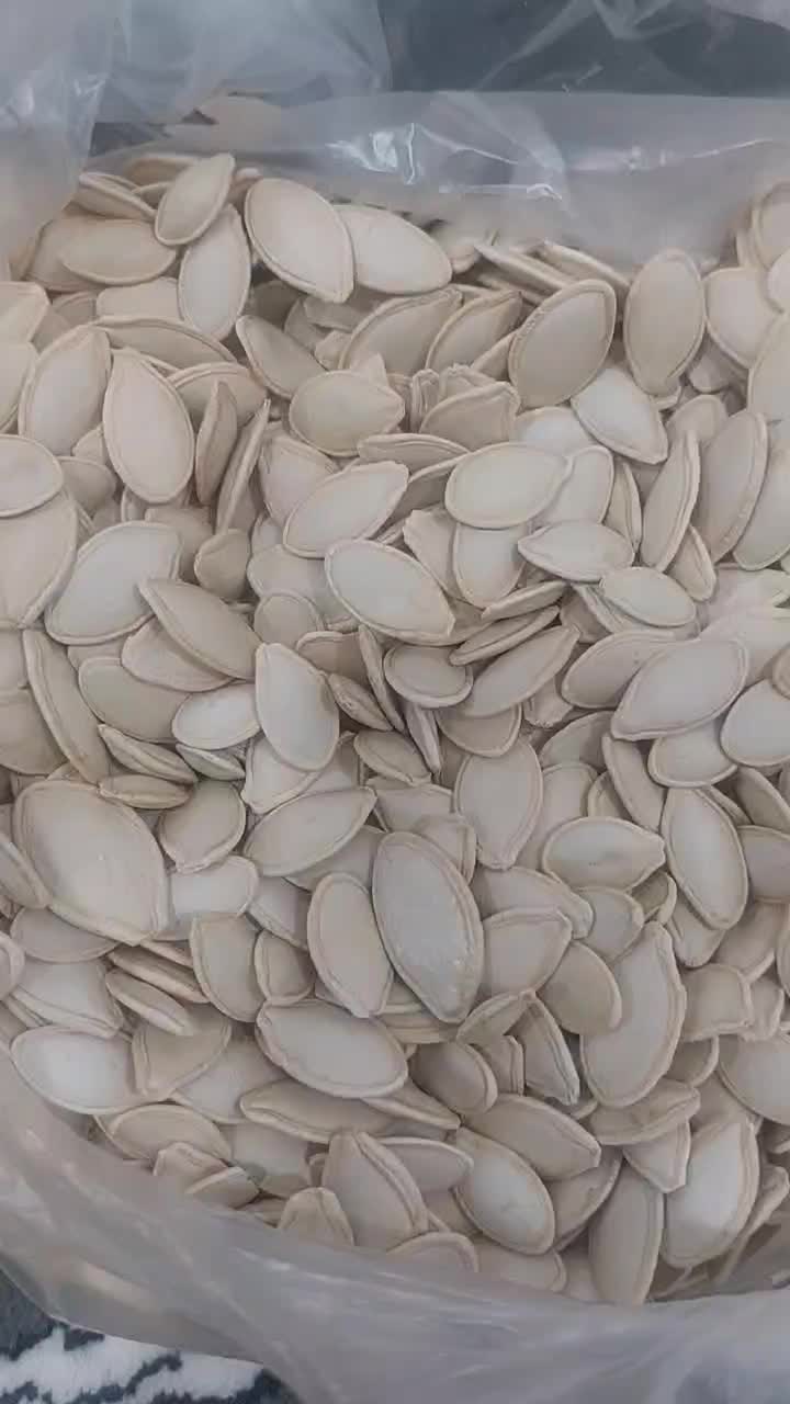 تخمه کدو گوشتی|خوردنی و آشامیدنی|بهمن صغاد, |دیوار