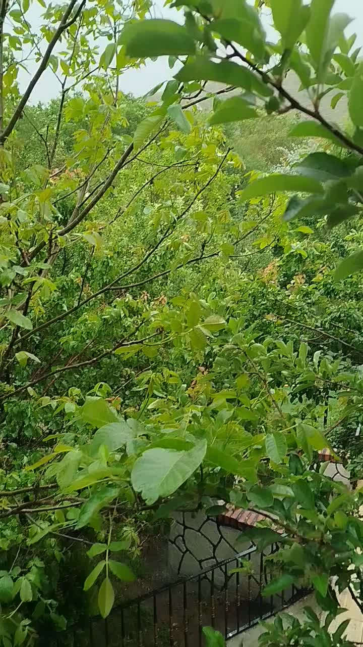 اجاره باغ ویلا استخر آب گرم و جکوزی ...حیدره|اجارهٔ کوتاه‌مدت ویلا و باغ|همدان, |دیوار