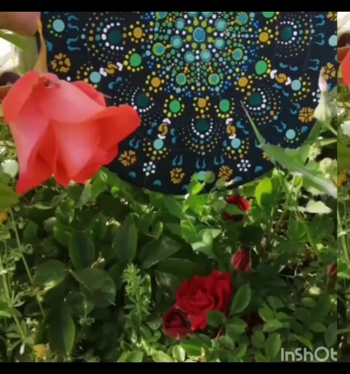 دیوارکوب|صنایع دستی و سایر لوازم تزئینی|الوند, |دیوار